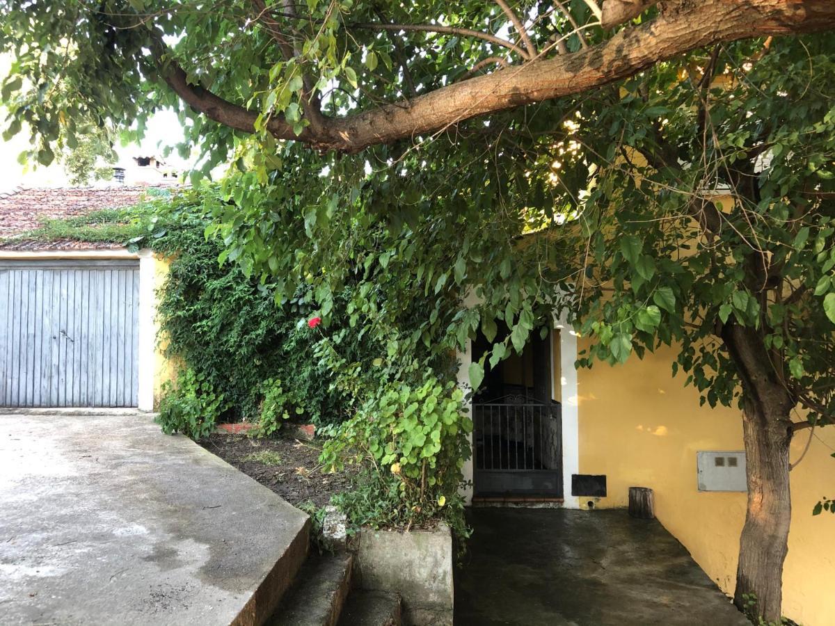 Casa Casillas Villa La Parra  Ngoại thất bức ảnh
